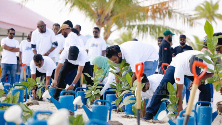 Tree planting under the national 5 million tree project